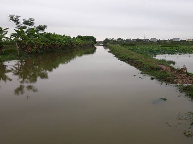 A body of water with grass and trees around it

Description automatically generated with medium confidence