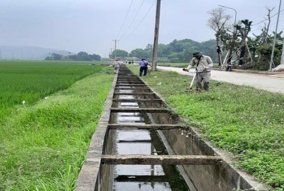 Picture3.jpg