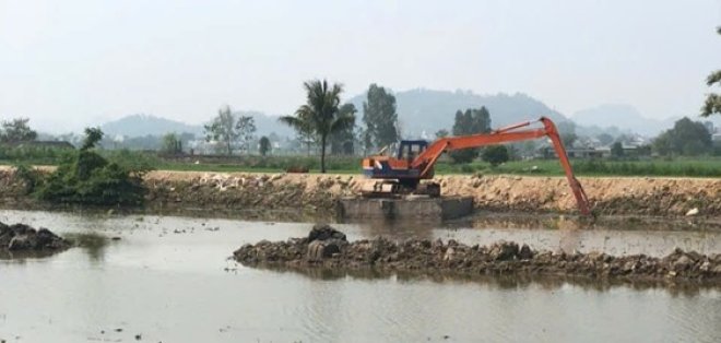 Picture1.jpg