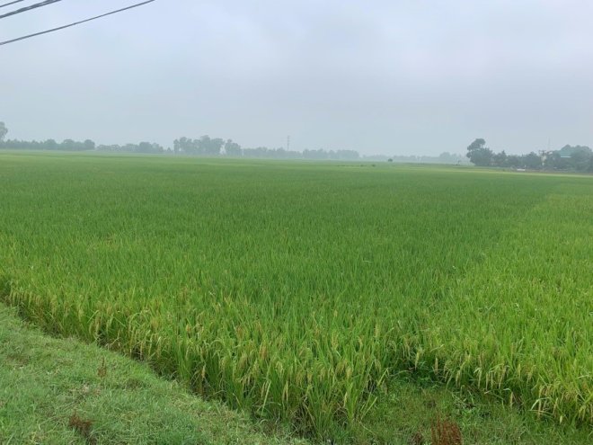 Picture1.jpg