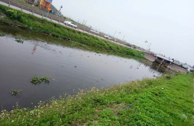 Picture2.jpg